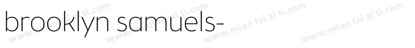 brooklyn samuels字体转换